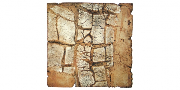 web-biscuit-on-canvas.jpg